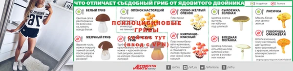 меф Арсеньев