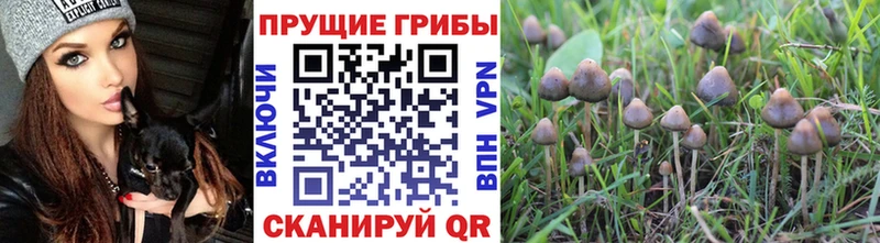 продажа наркотиков  Урай  ссылка на мегу как зайти  Псилоцибиновые грибы GOLDEN TEACHER 
